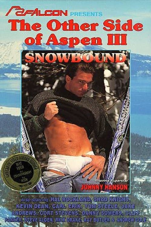 The Other Side Of Aspen 3: Snowboundのポスター