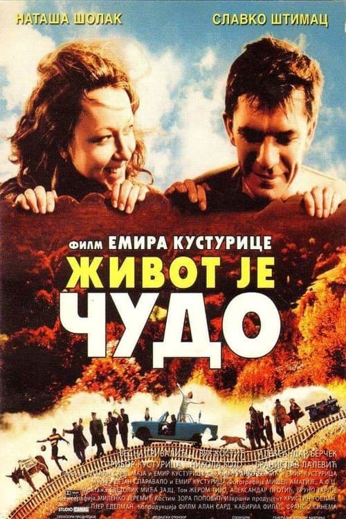 Život je čudoのポスター