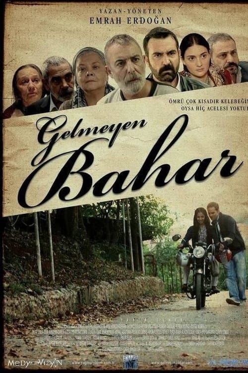 Gelmeyen Baharのポスター