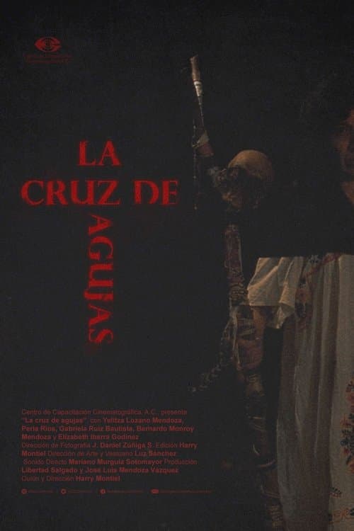 La cruz de agujasのポスター