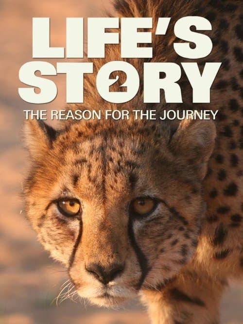 Life's Story 2: The Reason For The Journeyのポスター