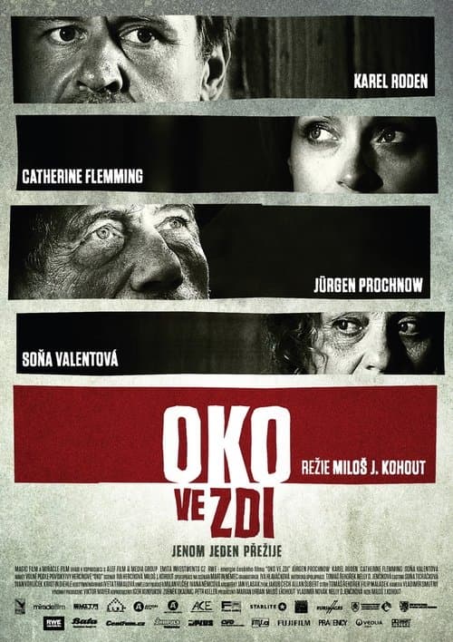 Oko ve zdiのポスター