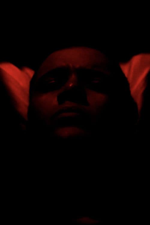 Incubadorのポスター