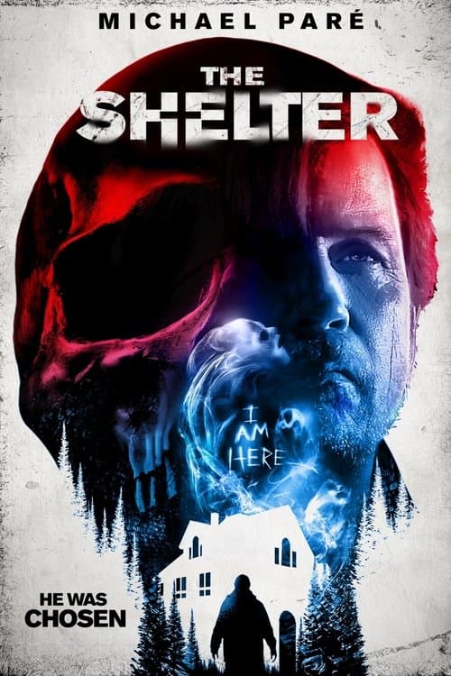 The Shelterのポスター