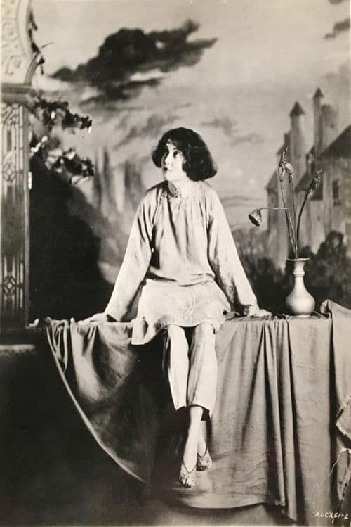 Her Big Adventureのポスター