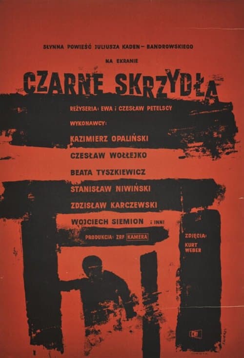 Czarne skrzydłaのポスター