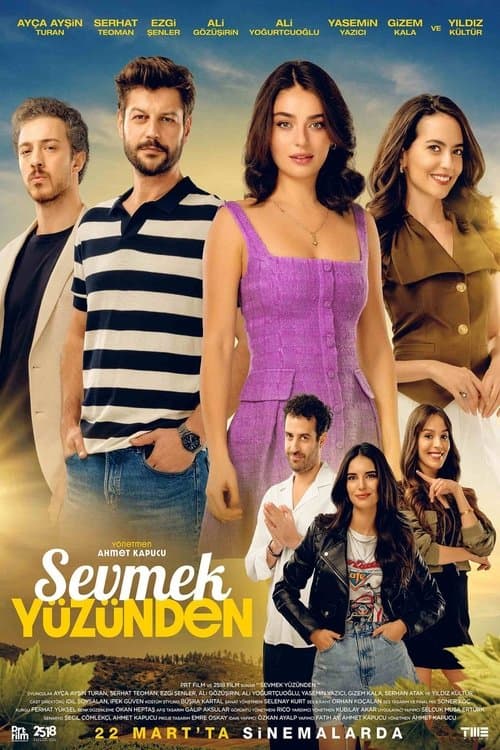 Sevmek Yüzündenのポスター