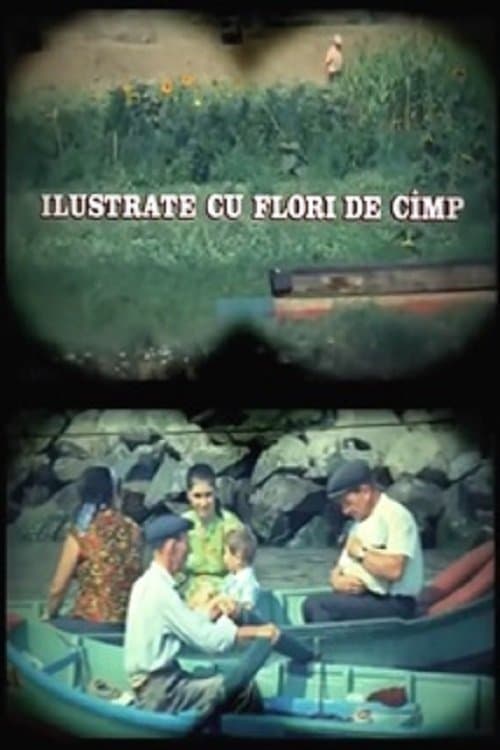 Ilustrate cu flori de câmpのポスター