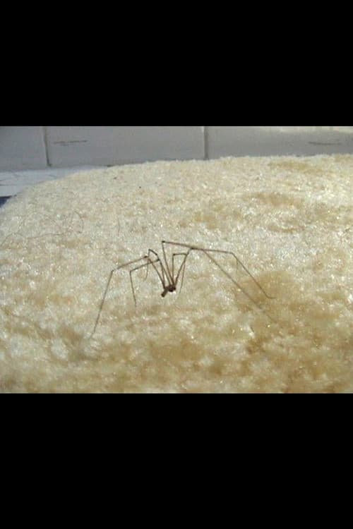 Coven of the Heathenitesのポスター