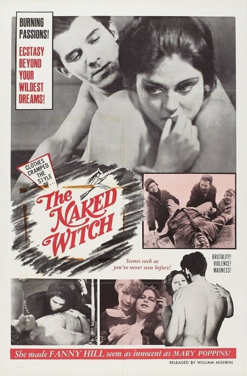 The Naked Witchのポスター