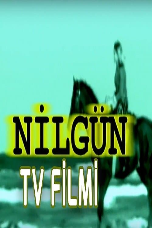 Nilgünのポスター