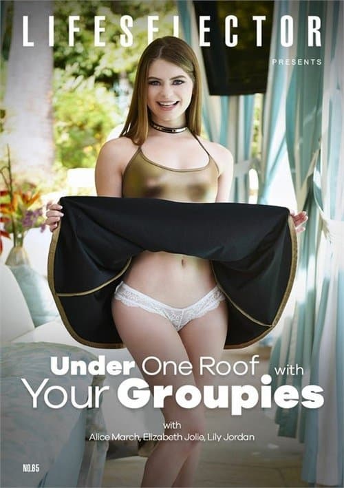 Under One Roof With Your Groupiesのポスター