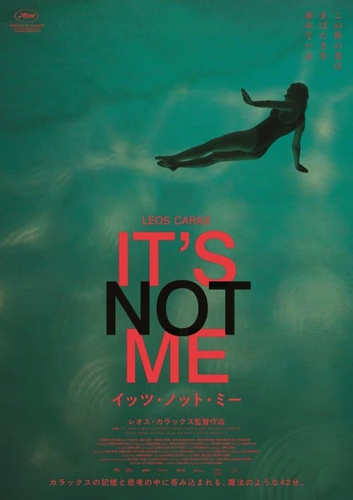 C'est pas moiのポスター