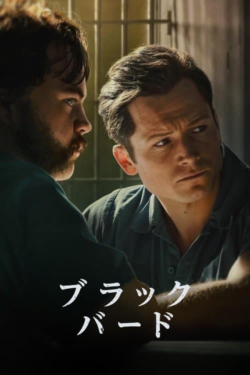 ブラック・バードのポスター