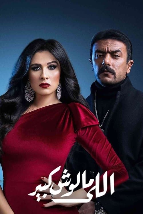 اللي مالوش كبيرのポスター