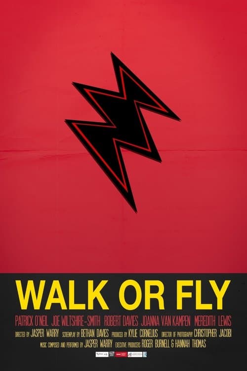Walk or Flyのポスター