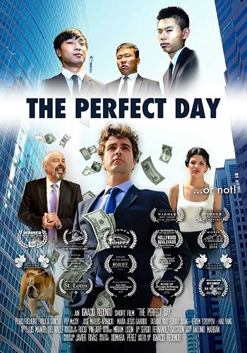 The Perfect Dayのポスター