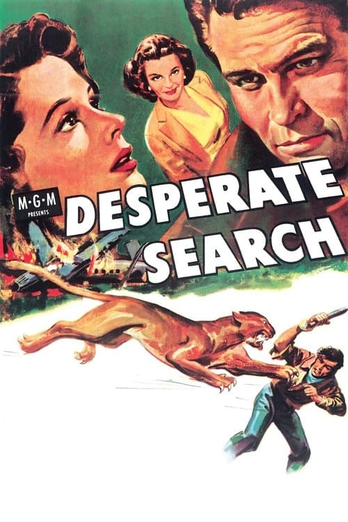 Desperate Searchのポスター