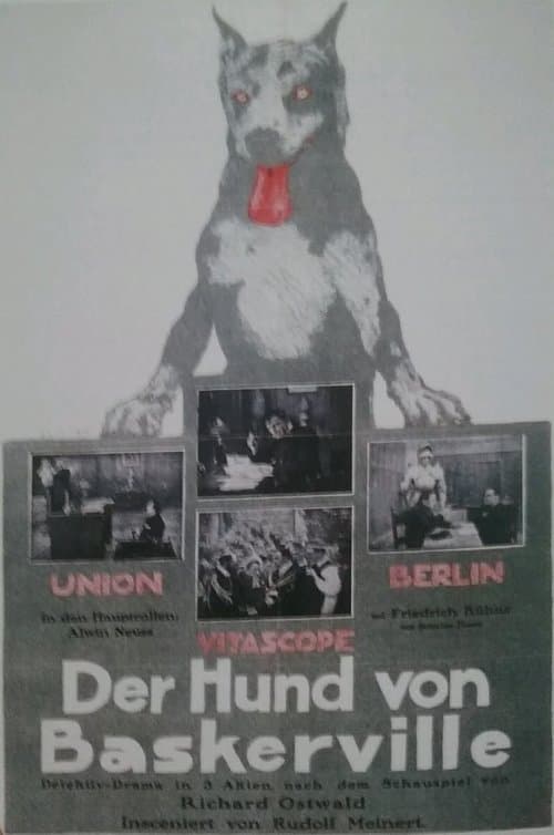 Der Hund von Baskervilleのポスター