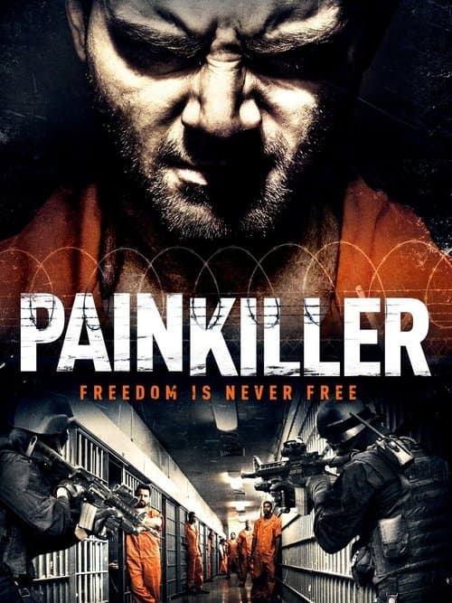 Painkillerのポスター