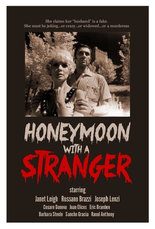 Honeymoon with a Strangerのポスター