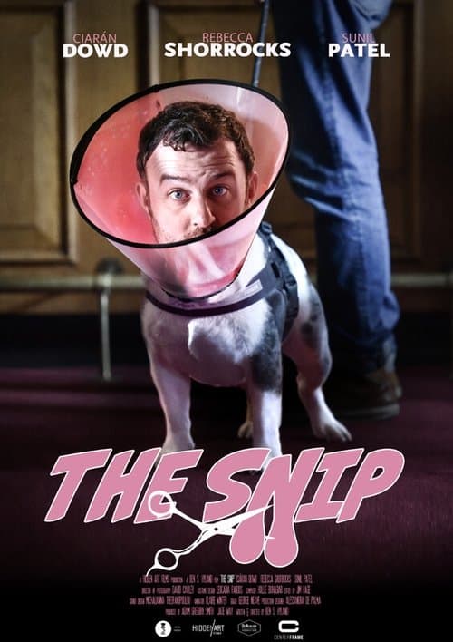The Snipのポスター