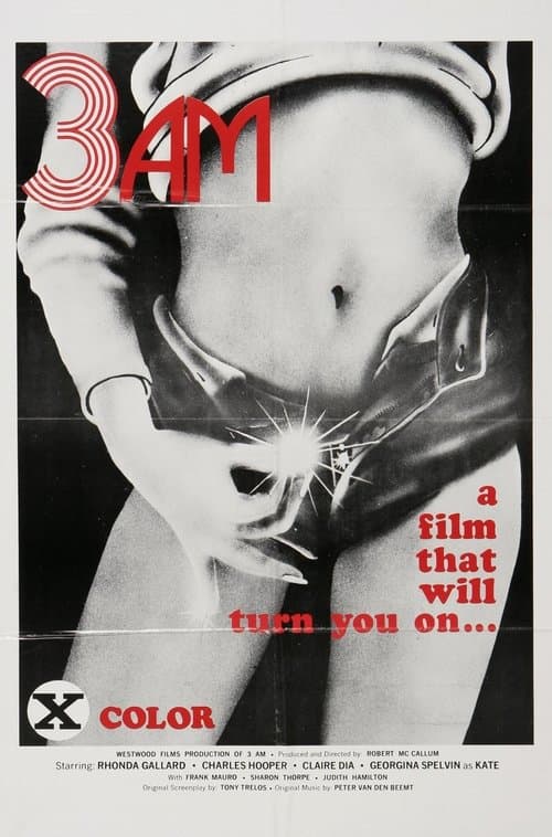 3 A.M.のポスター
