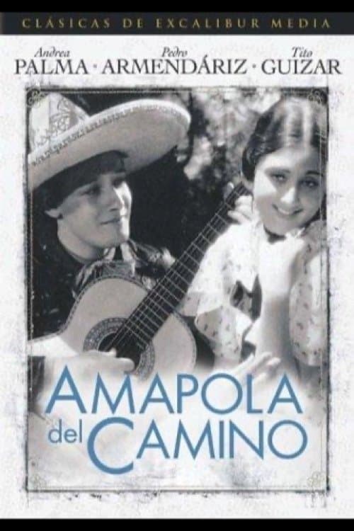 Amapola Del Caminoのポスター