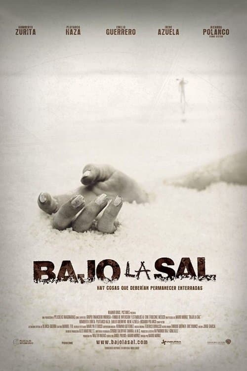 Bajo la Salのポスター