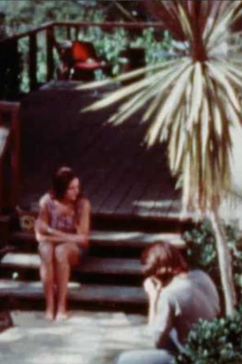 Notes on Bob and Nancyのポスター