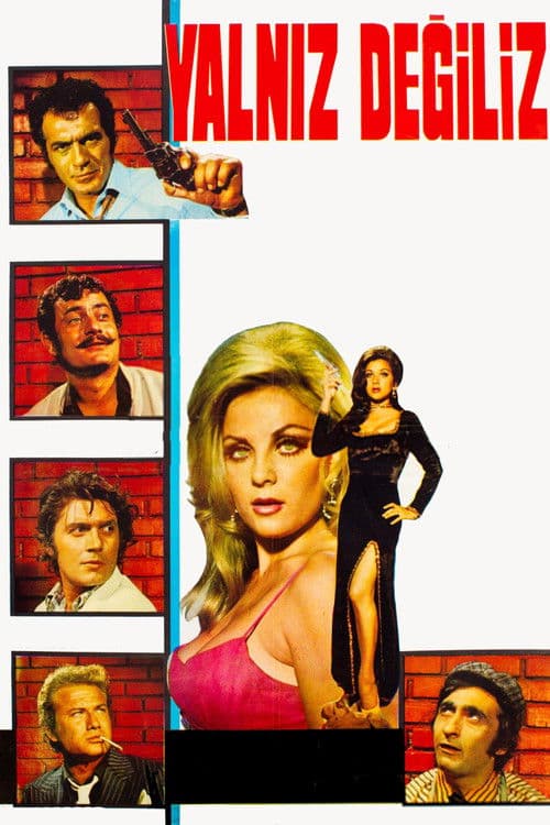 Yalnız Değilizのポスター