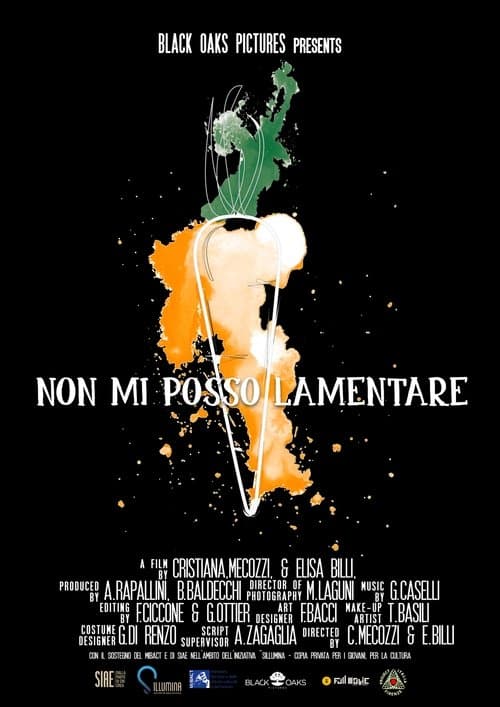 Non mi posso lamentareのポスター