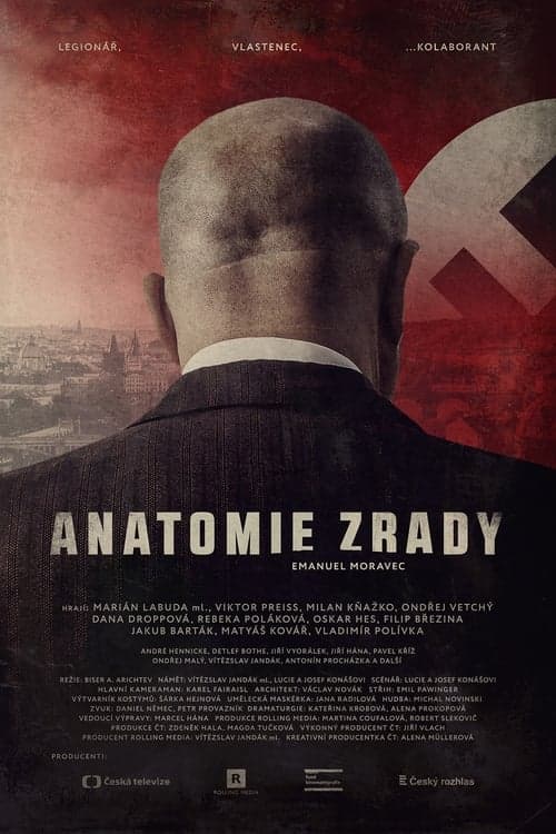 Anatomie zradyのポスター