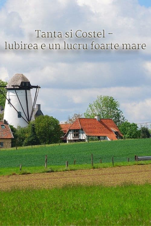 Tanta si Costel - Iubirea e un lucru foarte mareのポスター