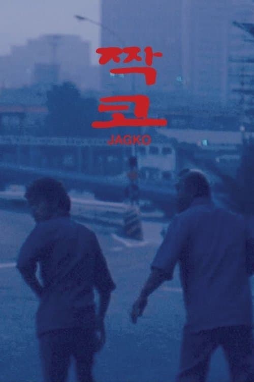 짝코のポスター