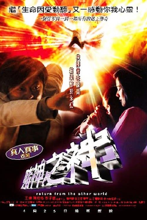 賭神之神のポスター