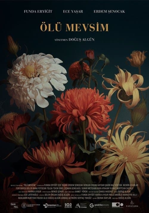 Ölü Mevsimのポスター