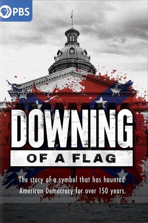 Downing of a Flagのポスター