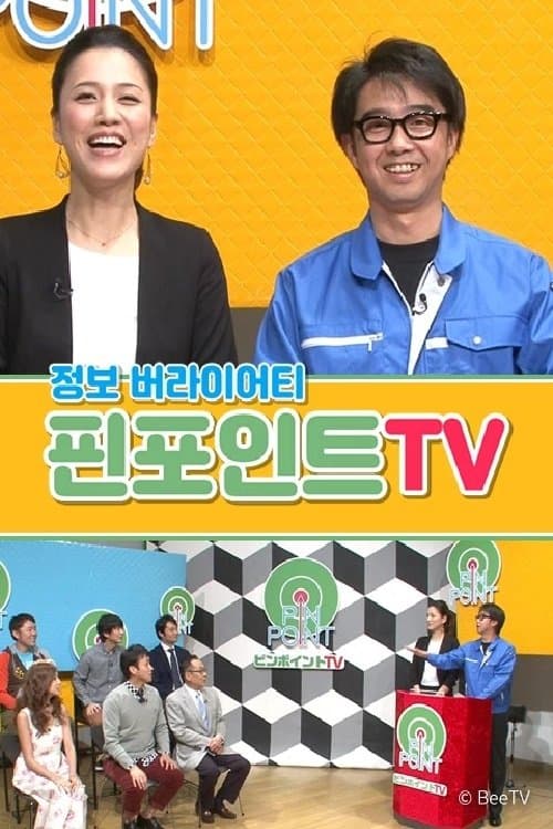 핀포인트 TVのポスター