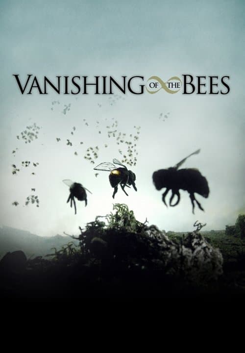 Vanishing of the Beesのポスター