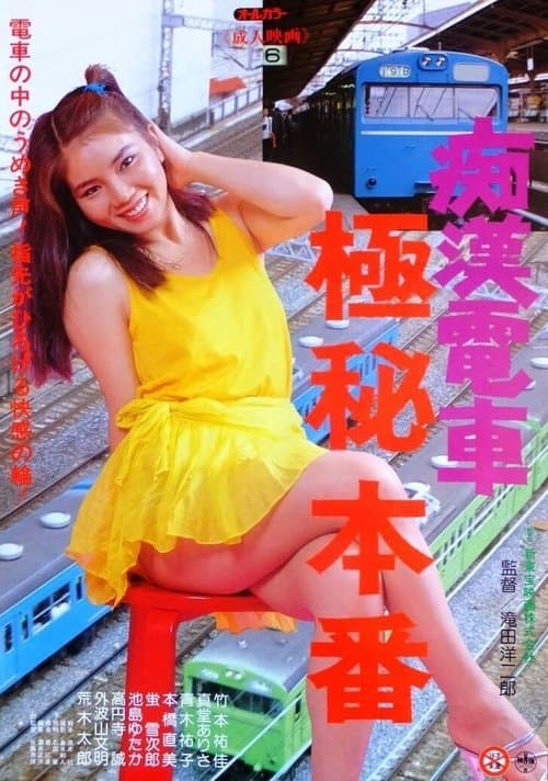 痴漢電車　極秘本番のポスター