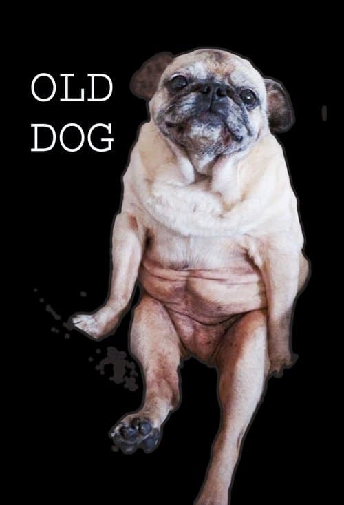 Old Dogのポスター