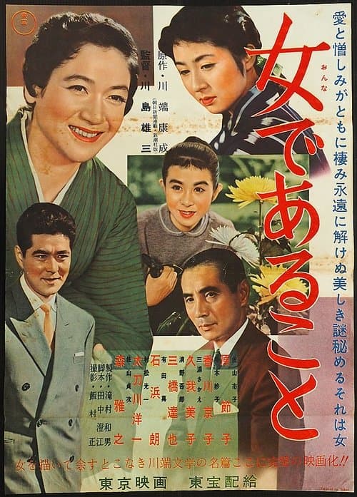 女であることのポスター