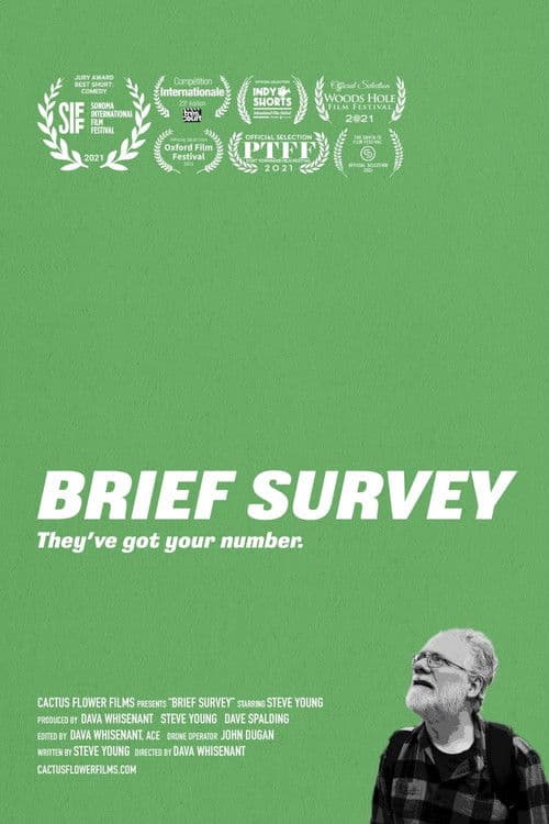 Brief Surveyのポスター
