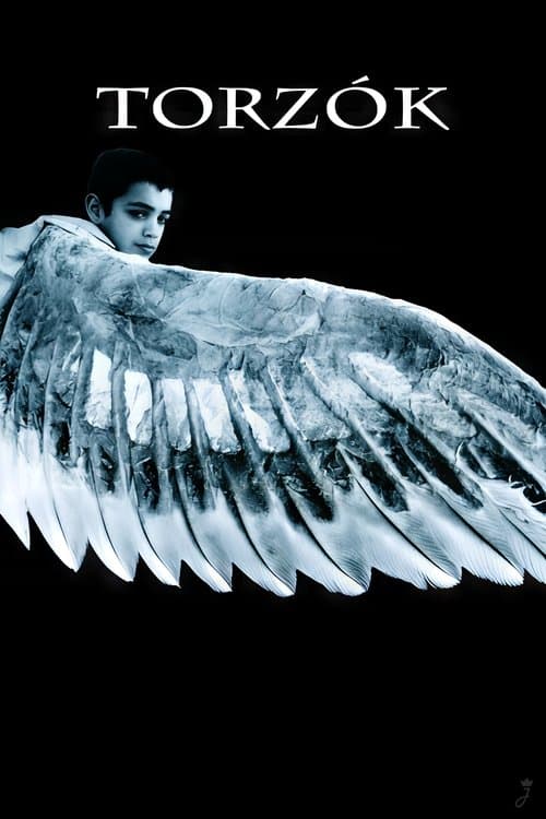Torzókのポスター