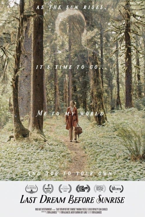 Last Dream Before Sunriseのポスター