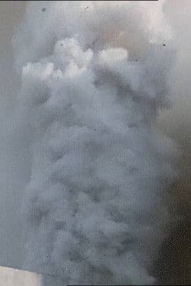 Una lepre con la faccia di bambinaのポスター