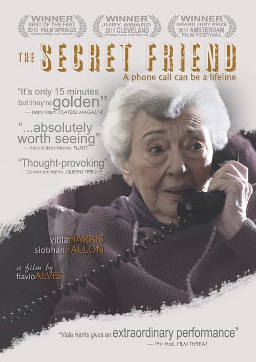 The Secret Friendのポスター