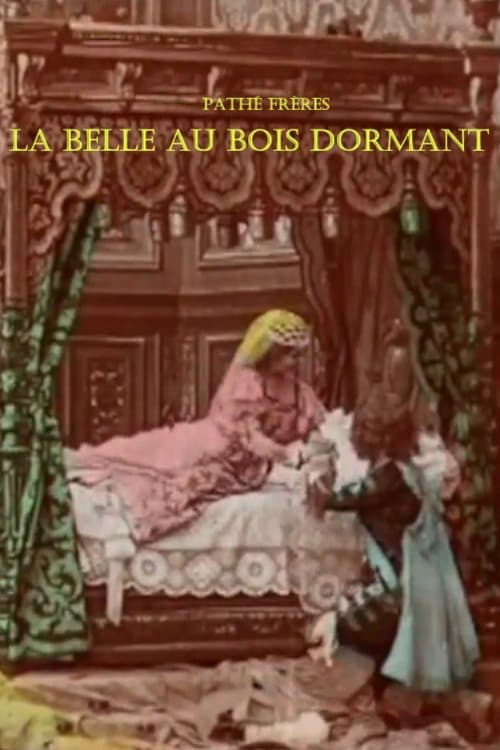 La Belle au bois dormantのポスター