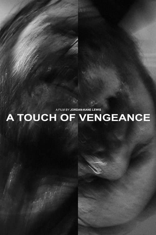 A Touch of Vengeanceのポスター